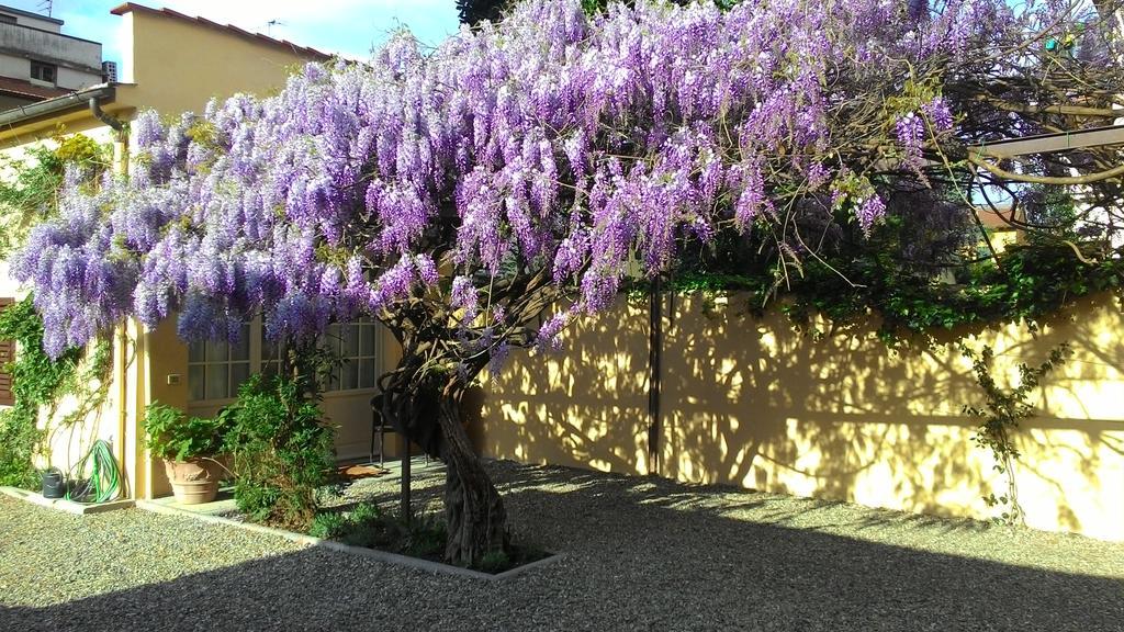 Frühstückspension Villino Fiorentino